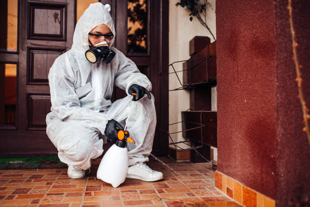 Reliable Wasp Removal contractor in Wallace, NC by Show Me Pest Control